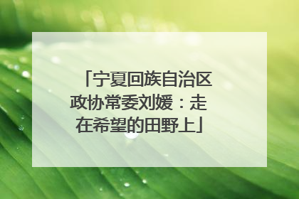 宁夏回族自治区政协常委刘媛：走在希望的田野上