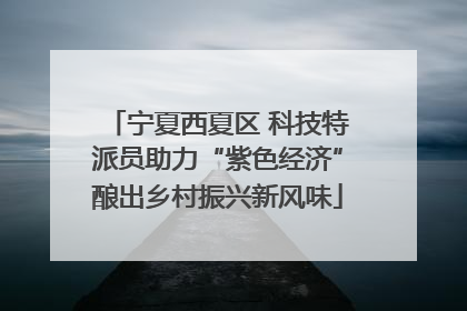 宁夏西夏区 科技特派员助力“紫色经济”酿出乡村振兴新风味