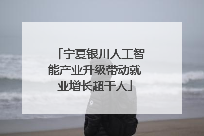 宁夏银川人工智能产业升级带动就业增长超千人