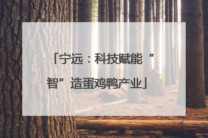 宁远：科技赋能“智”造蛋鸡鸭产业