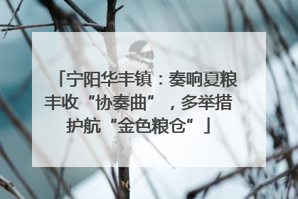 宁阳华丰镇：奏响夏粮丰收“协奏曲”，多举措护航“金色粮仓”
