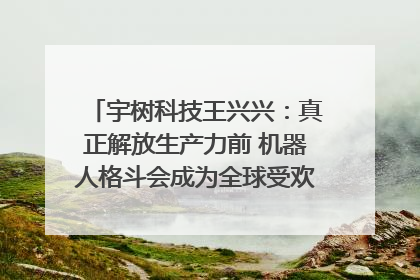 宇树科技王兴兴：真正解放生产力前 机器人格斗会成为全球受欢迎的赛事｜科技观察