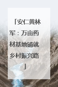 安仁黄林军：万亩药材基地铺就乡村振兴路