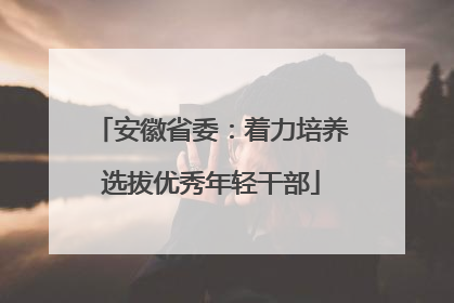 安徽省委：着力培养选拔优秀年轻干部