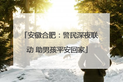 安徽合肥：警民深夜联动 助男孩平安回家