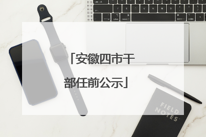 安徽四市干部任前公示
