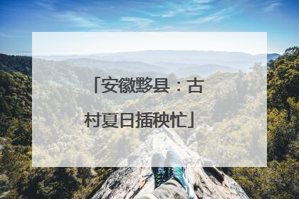 安徽黟县：古村夏日插秧忙