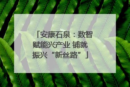 安康石泉：数智赋能兴产业 铺就振兴“新丝路”