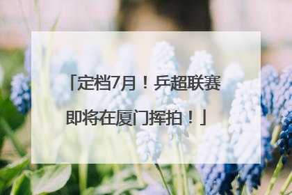定档7月！乒超联赛即将在厦门挥拍！