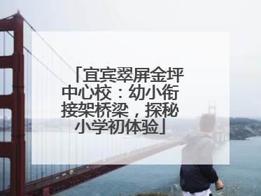 宜宾翠屏金坪中心校：幼小衔接架桥梁，探秘小学初体验