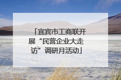 宜宾市工商联开展“民营企业大走访”调研月活动