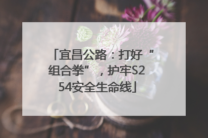 宜昌公路：打好“组合拳”，护牢S254安全生命线