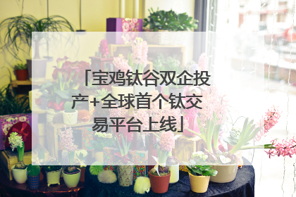 宝鸡钛谷双企投产+全球首个钛交易平台上线