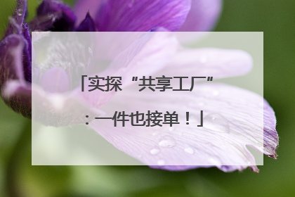 实探“共享工厂”：一件也接单！