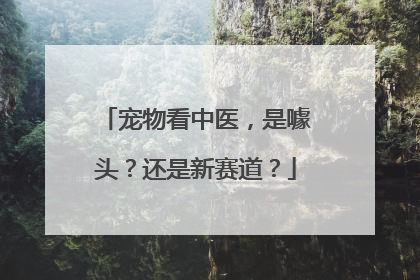 宠物看中医，是噱头？还是新赛道？