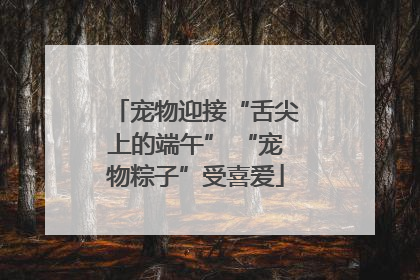 宠物迎接“舌尖上的端午” “宠物粽子”受喜爱