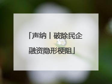 声纳丨破除民企融资隐形梗阻