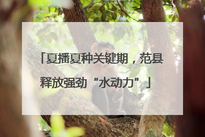 夏播夏种关键期，范县释放强劲“水动力”