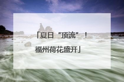 夏日“顶流”！福州荷花盛开