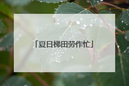 夏日梯田劳作忙