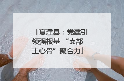 夏津县：党建引领强根基 “支部主心骨”聚合力