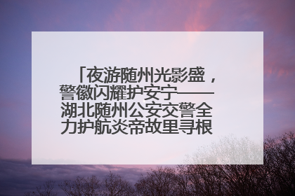 夜游随州光影盛，警徽闪耀护安宁——湖北随州公安交警全力护航炎帝故里寻根节夜游活动侧记