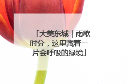 大美东城｜雨歇时分，这里藏着一片会呼吸的绿境