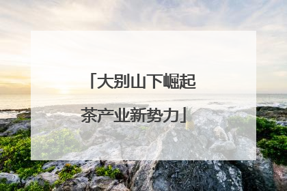 大别山下崛起茶产业新势力
