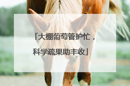 大棚葡萄管护忙，科学疏果助丰收