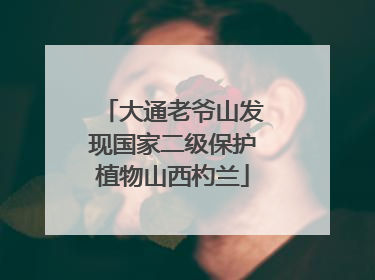大通老爷山发现国家二级保护植物山西杓兰