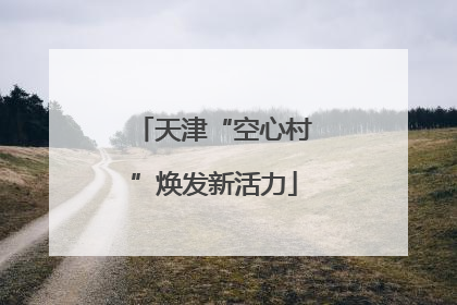 天津“空心村”焕发新活力
