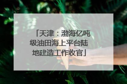 天津：渤海亿吨级油田海上平台陆地建造工作收官