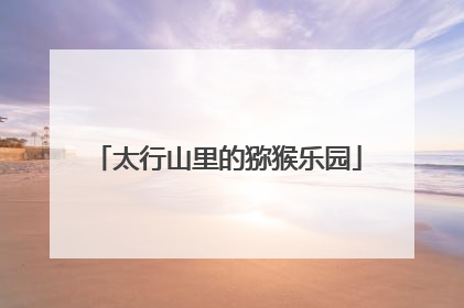 太行山里的猕猴乐园