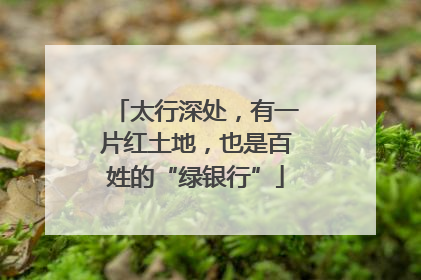 太行深处，有一片红土地，也是百姓的“绿银行”