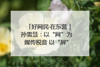 好网民·在东营｜孙雪慧：以“网”为媒传税音 以“屏”为介助发展