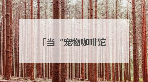 当“宠物咖啡馆”落户北京10号线“青创村”：在“卷”与“躺”之间，他们找到了第三种生活公式