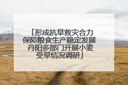 形成抗旱救灾合力 保障粮食生产稳定发展 丹阳多部门开展小麦受旱情况调研