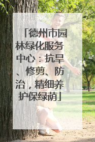 德州市园林绿化服务中心：抗旱、修剪、防治，精细养护保绿荫
