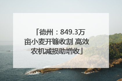 德州：849.3万亩小麦开镰收割 高效农机减损助增收