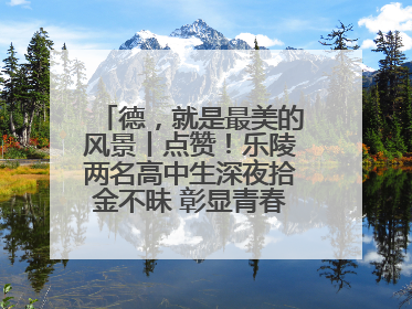 德，就是最美的风景丨点赞！乐陵两名高中生深夜拾金不昧 彰显青春正能量