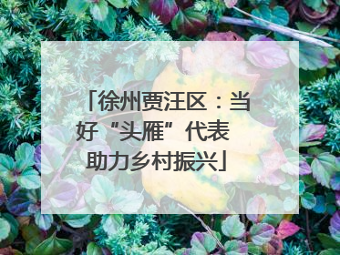 徐州贾汪区：当好“头雁”代表 助力乡村振兴