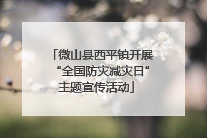 微山县西平镇开展“全国防灾减灾日”主题宣传活动