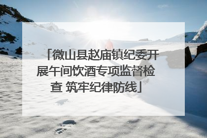 微山县赵庙镇纪委开展午间饮酒专项监督检查 筑牢纪律防线