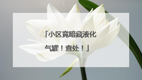 小区竟暗藏液化气罐！查处！