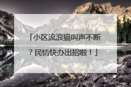 小区流浪猫叫声不断？民情快办出招啦！