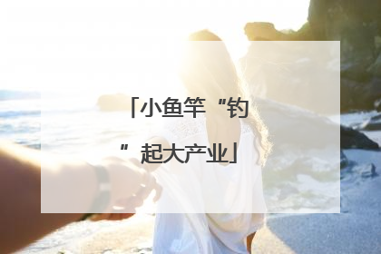 小鱼竿“钓”起大产业