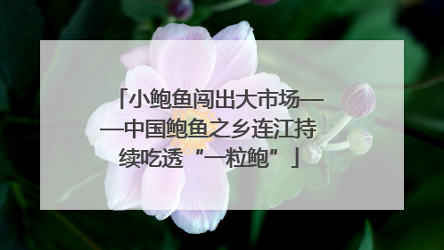小鲍鱼闯出大市场——中国鲍鱼之乡连江持续吃透“一粒鲍”
