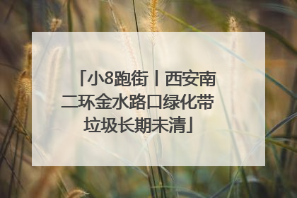 小8跑街丨西安南二环金水路口绿化带垃圾长期未清