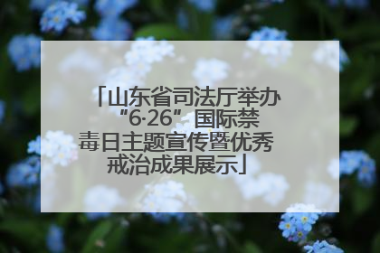 山东省司法厅举办“6·26”国际禁毒日主题宣传暨优秀戒治成果展示