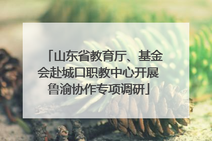山东省教育厅、基金会赴城口职教中心开展鲁渝协作专项调研